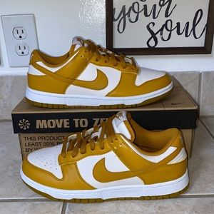 Nike Dunk Low Retro Women’s Shoes